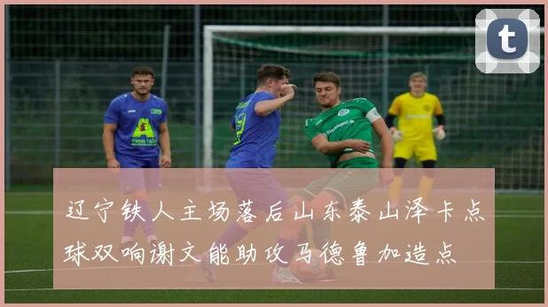 辽宁铁人主场落后山东泰山泽卡点球双响谢文能助攻马德鲁加造点